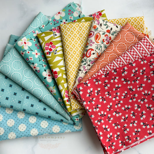 Denyse Schmidt Rainbow Remnant Bundle