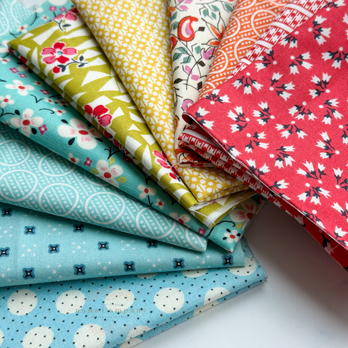 Denyse Schmidt Rainbow Remnant Bundle