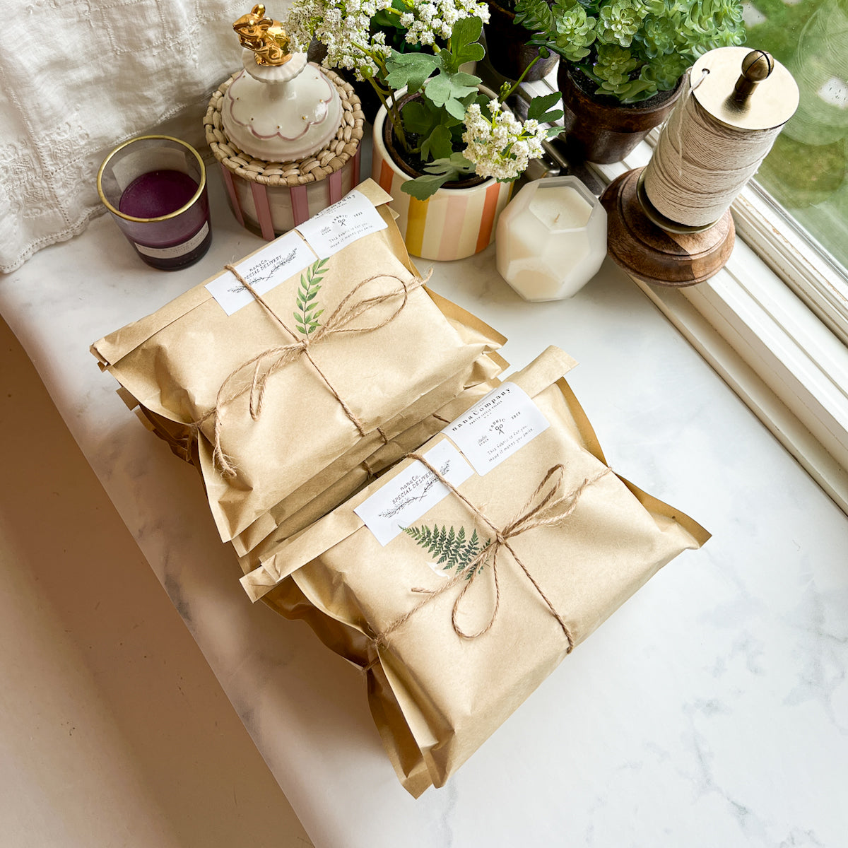 Early Pine Bundle by Amy Sinibaldi  | Six FQ