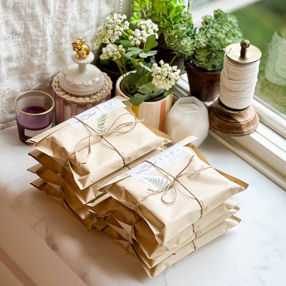 Early Pine Bundle by Amy Sinibaldi  | Six FQ