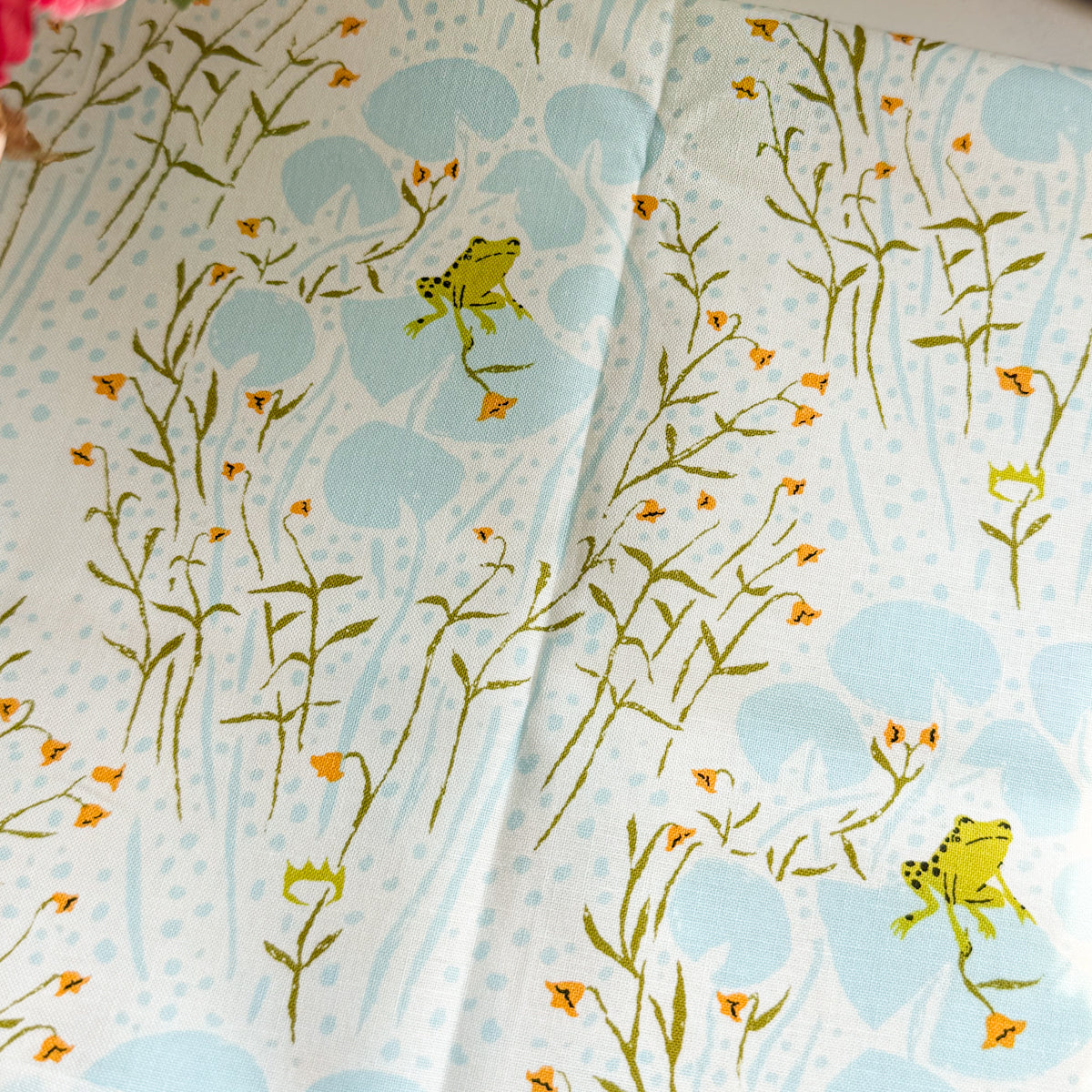 Heather Ross Frogs | Remnant