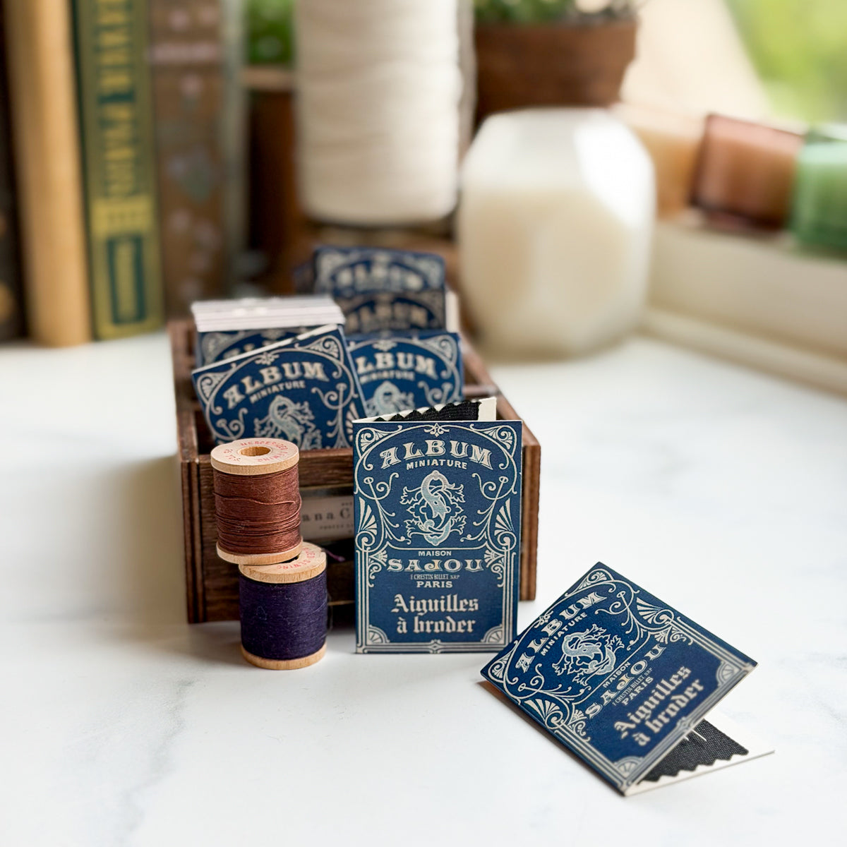 Sajou Miniature Album | Booklet of Six Embroidery Needles Round