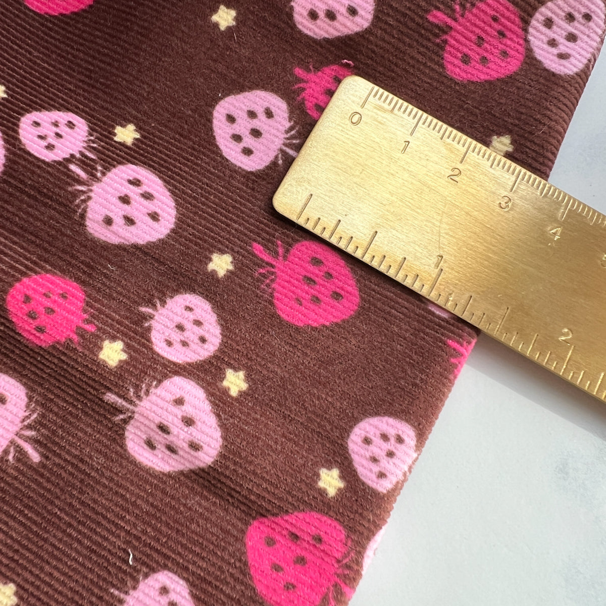 Strawberry Corduroy | Remnant
